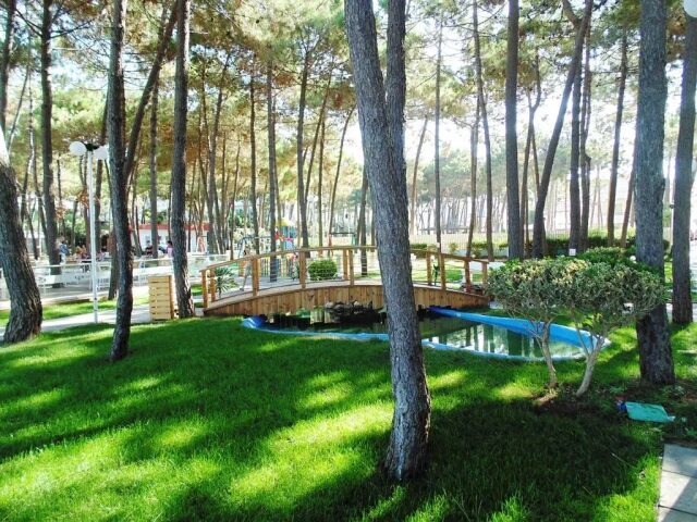Diamma Resort photo 2