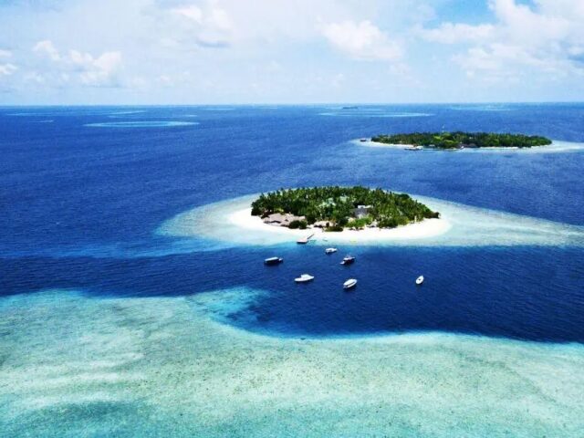 Malahini Kuda Bandos