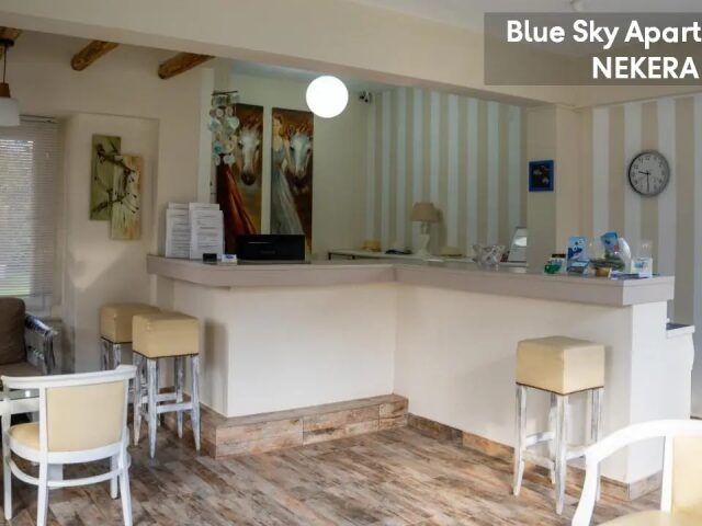Blue Sky Apartments photo 3