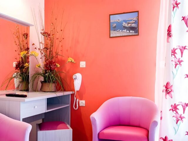 Ammes photo 3