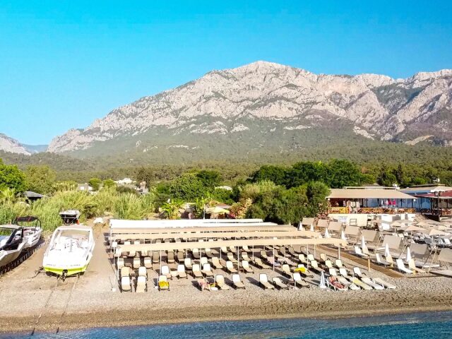 DG Rose Resort photo 1