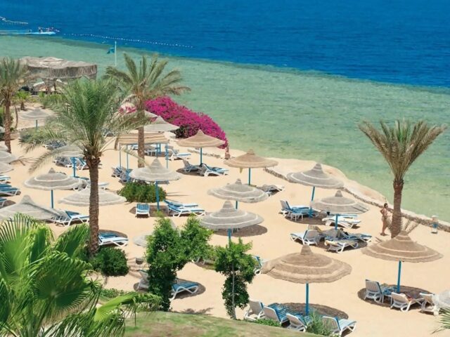Queen Sharm photo 0