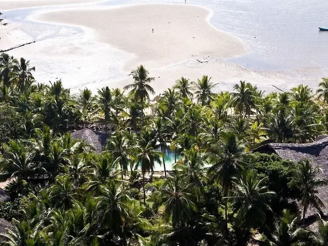 Ravintsara Wellness photo 1