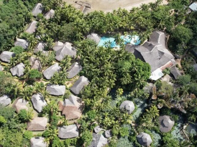 Ravintsara Wellness