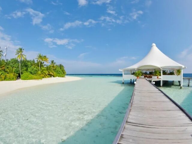 Safari Island photo 1