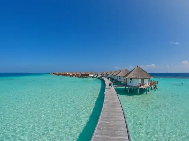 Safari Island photo 0