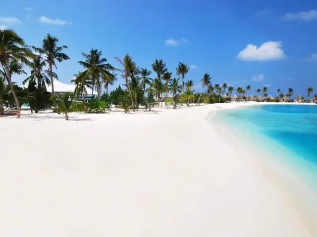 Safari Island photo 2