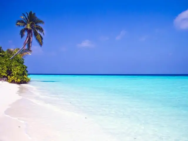 Safari Island photo 3