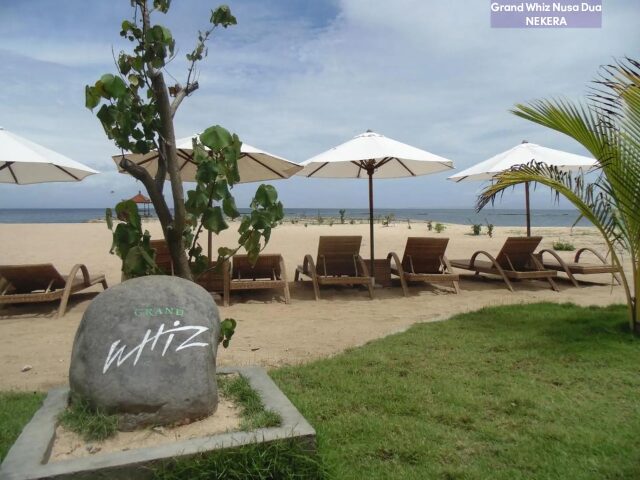 Grand Whiz photo 3