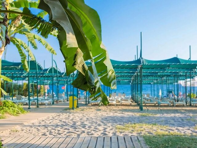 PrimaSol Telatiye Resort photo 2