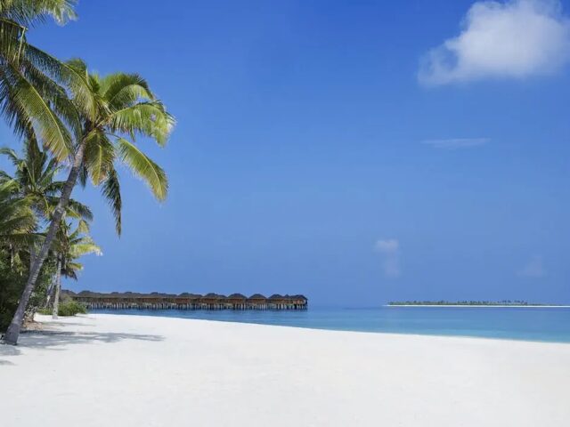 JA Manafaru photo 0