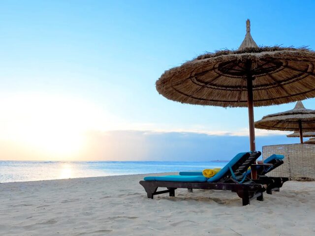 Novotel Marsa Alam photo 3