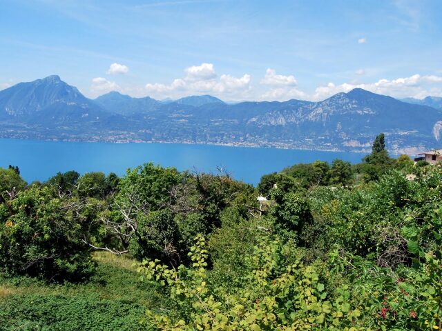 Belvedere photo 0