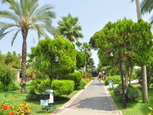 Zena Resort photo 3