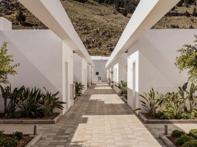 Casa Cook photo 3