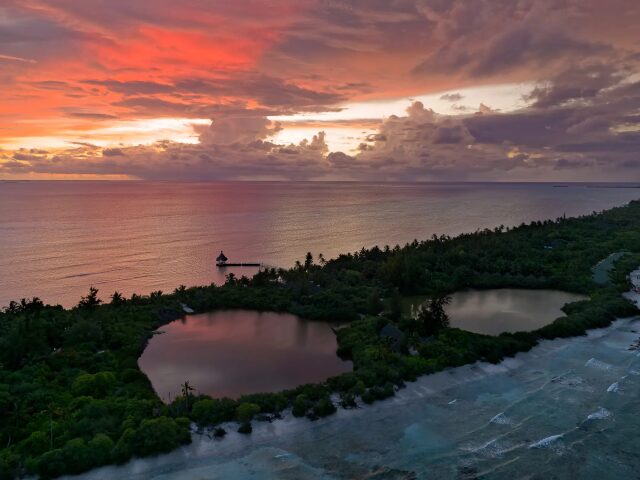 Canareef Resort photo 3