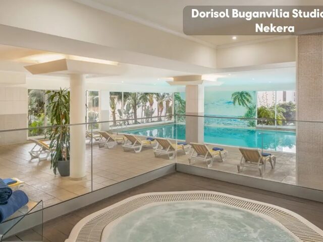 Dorisol Buganvilia photo 2