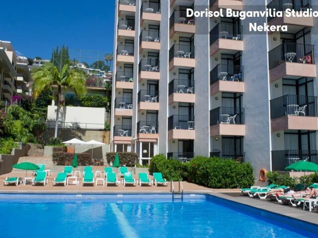 Dorisol Buganvilia photo 0