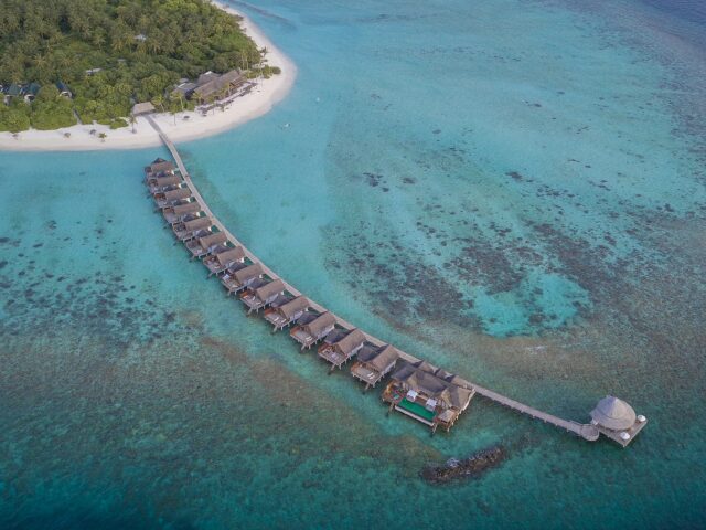 Furaveri Island Resort photo 3