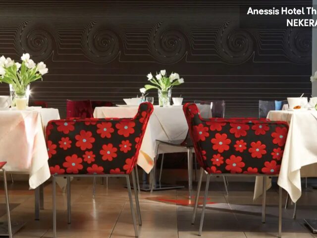 Anessis photo 2