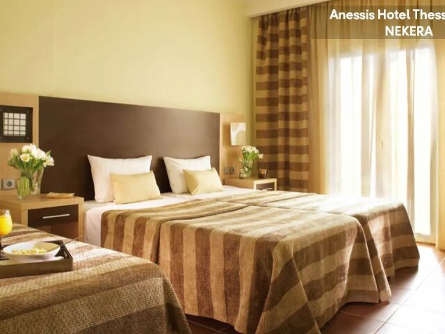 Anessis photo 0