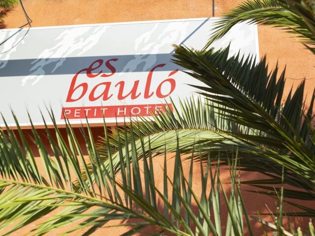 Es Baulo Petit photo 3