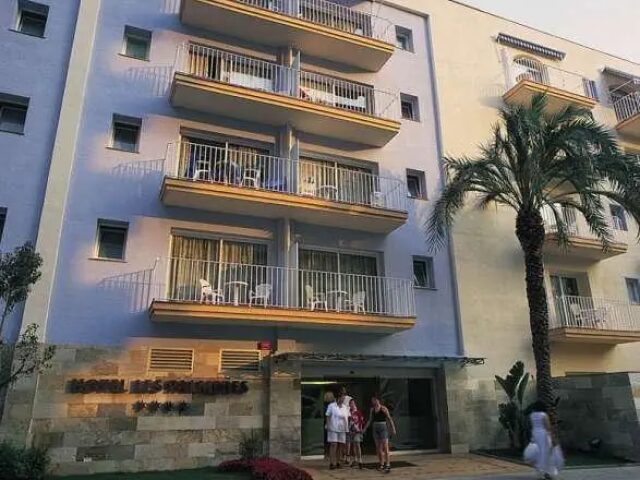 Dwo Les Palmeres photo 0