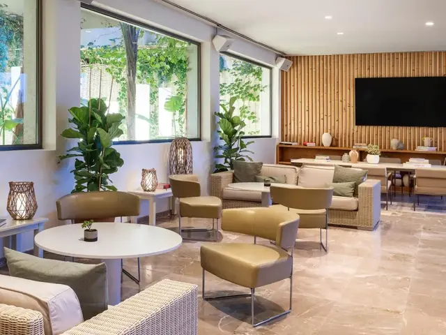 Melia Calvia Beach photo 2
