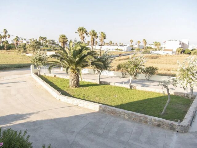 Oasis photo 1