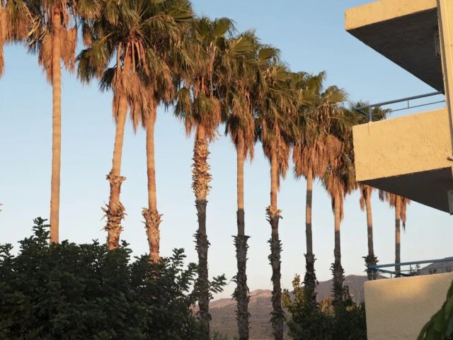 Oasis photo 2