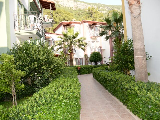 Karbel photo 2