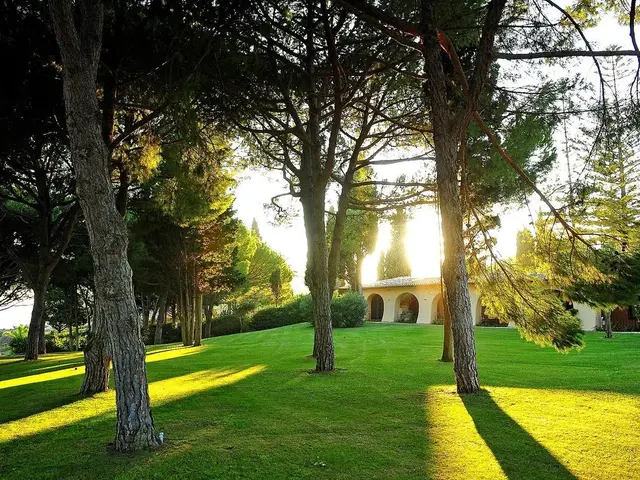 Vilalara Thalassa Resort photo 3