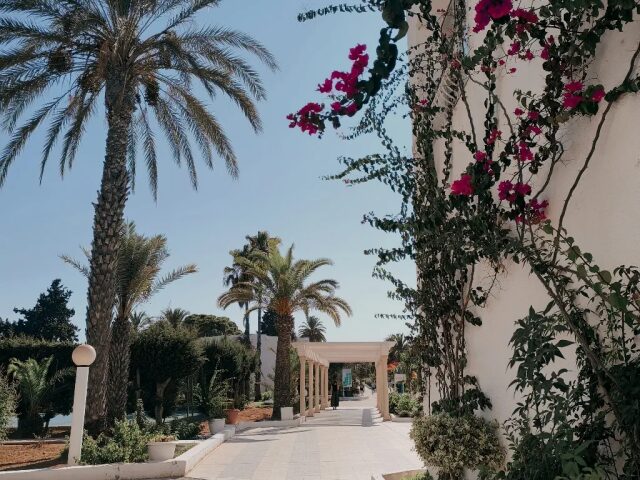 El Mouradi Club Selima photo 0