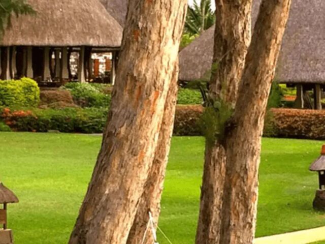 The Oberoi Beach Resort photo 0