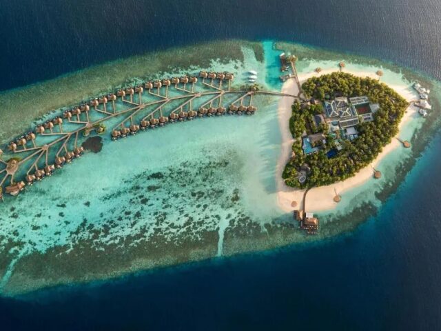 W Maldives photo 3