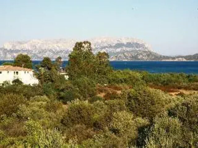 Mare Blue photo 1