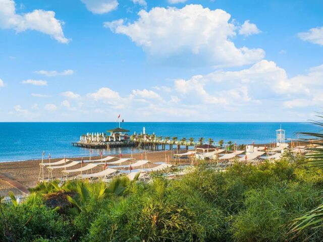 Delphin Palace photo 2