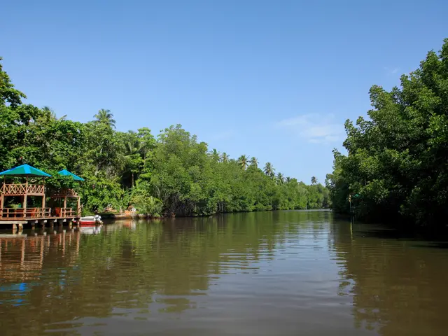 Nh Bentota Ceysands Resort photo 1
