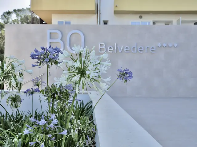 BQ Belvedere photo 1