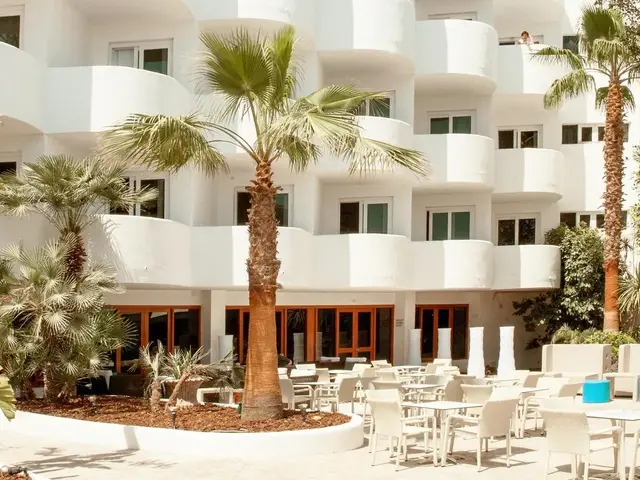 Sentido Fido Tucan photo 1