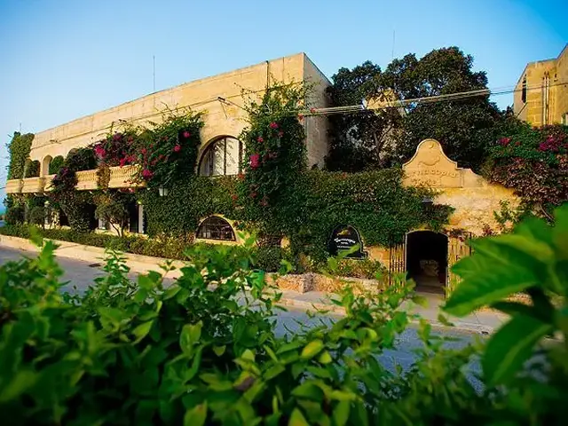 Cornucopia photo 1