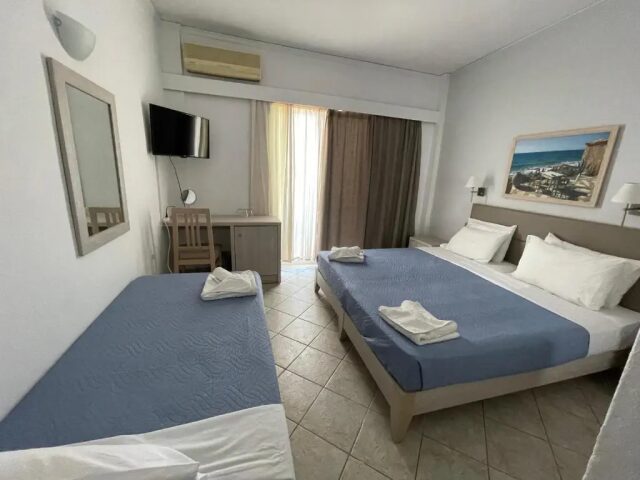 Aristea photo 2