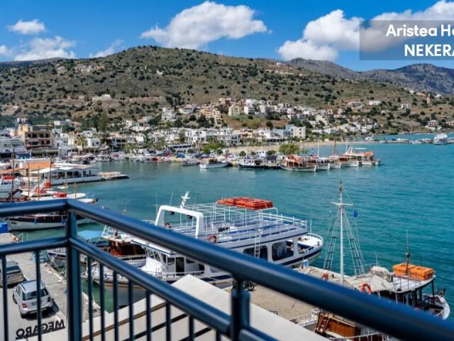 Aristea photo 3