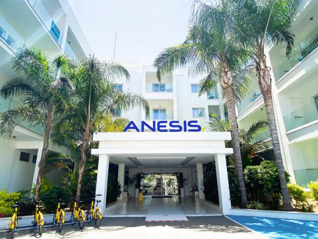 Anesis photo 0