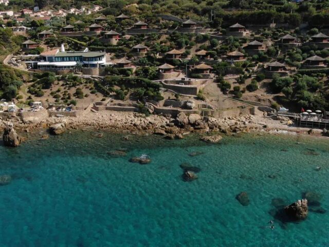 Calanica photo 3