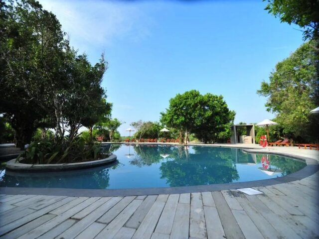 Cinnamon Wild Yala photo 3