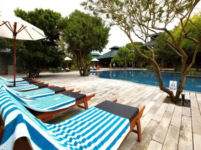 Cinnamon Wild Yala photo 2