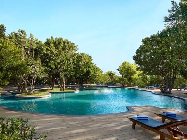 Cinnamon Wild Yala photo 1