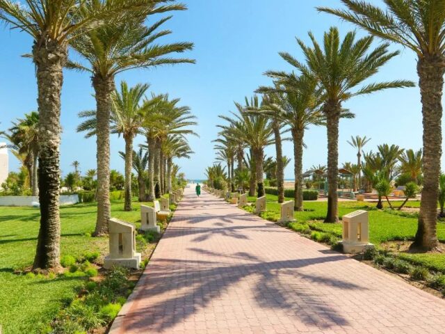 Palace Royal Garden photo 3
