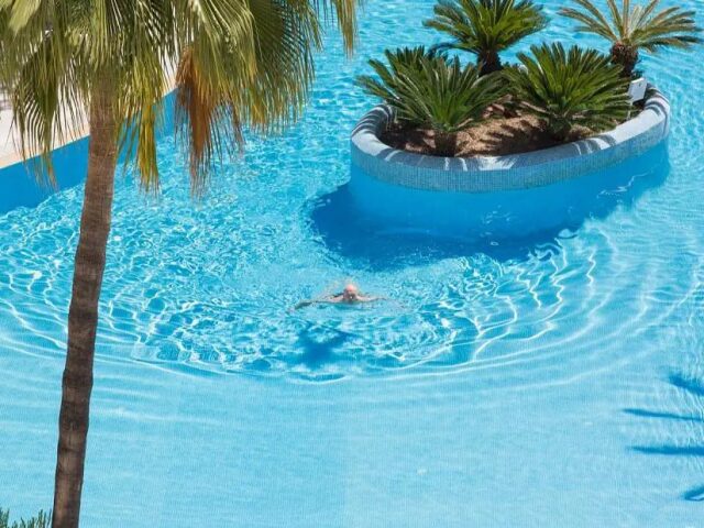 Ivory Playa photo 2